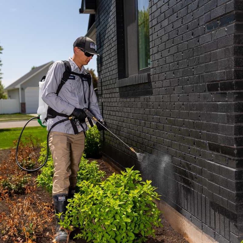 Home Exterior Protection